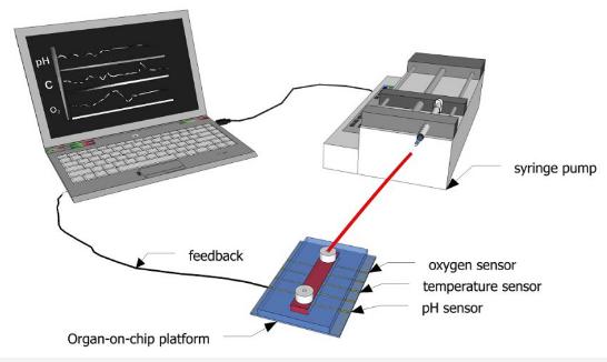 圖1：示意圖顯示了如何使用傳感器連續(xù)監(jiān)測微流體通道內(nèi)的生化參數(shù)。