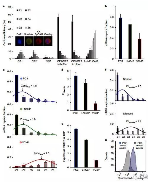 基于微流控芯片的新型液體活檢技術(shù)，助力前列腺癌診療