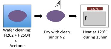 PDMS膜:底物的制備 PDMS膜:底物的制備