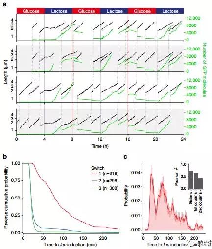 球最小的實驗室, 集成微流控動態(tài)可控監(jiān)測單細胞基因調(diào)控