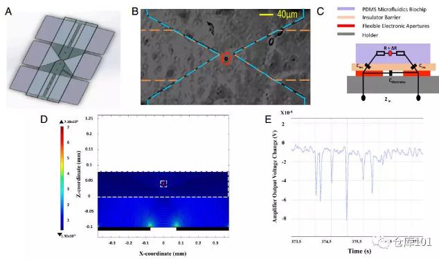 圖6. 實(shí)時(shí)單細(xì)胞計(jì)數(shù) A)微流控芯片示意圖；B)單個(gè)細(xì)胞通過電極顯微照相圖；C)等效電路圖；D)單個(gè)細(xì)胞通過的電勢計(jì)算圖；E)6個(gè)PMS微球通過的實(shí)驗(yàn)測量電勢圖