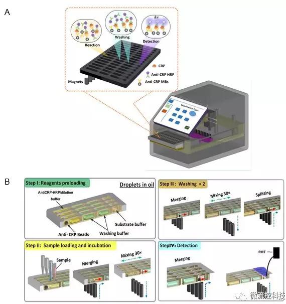 圖2 液滴陣列微流控芯片免疫分析系統(tǒng)。A. 分析儀器結(jié)構(gòu)示意圖;B. 分析原理示意圖。