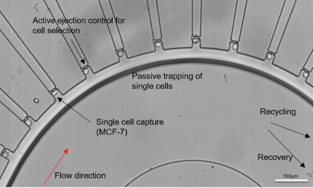 微流控單細胞分離裝置