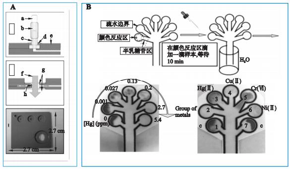 圖1重金屬檢測(cè)微流控芯片系統(tǒng)