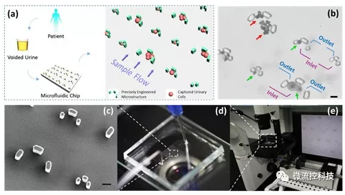 微流控技術(shù)在膀胱癌無創(chuàng)檢測領(lǐng)域取得重要進展