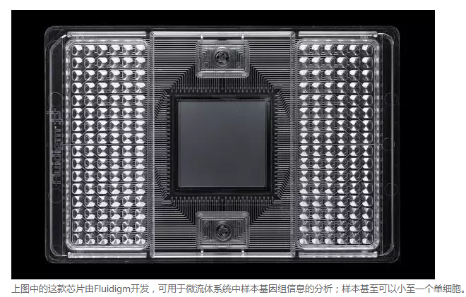 微流體系統(tǒng)中樣本基因分析