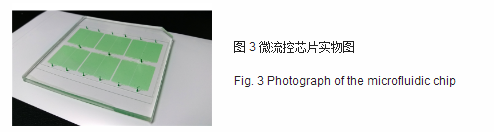 微流控芯片實(shí)物圖