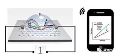 基于石墨烯的SNP檢測(cè)芯片將信號(hào)無(wú)線傳輸?shù)街悄苁謾C(jī)