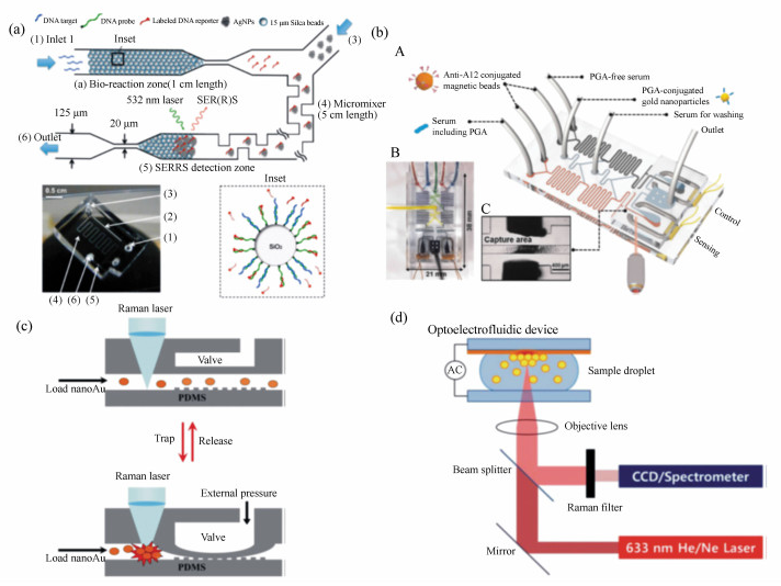 集成DNA競(jìng)爭(zhēng)取代序列檢測(cè)的SERRS微流微系統(tǒng)