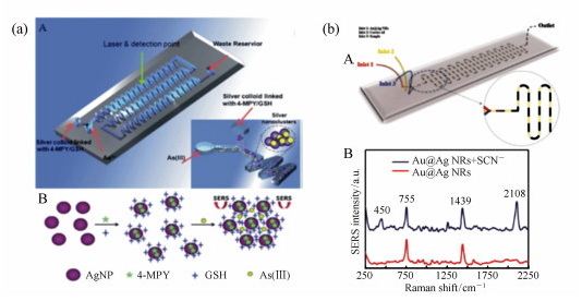 用來檢測(cè)砷離子的微流芯片示意圖