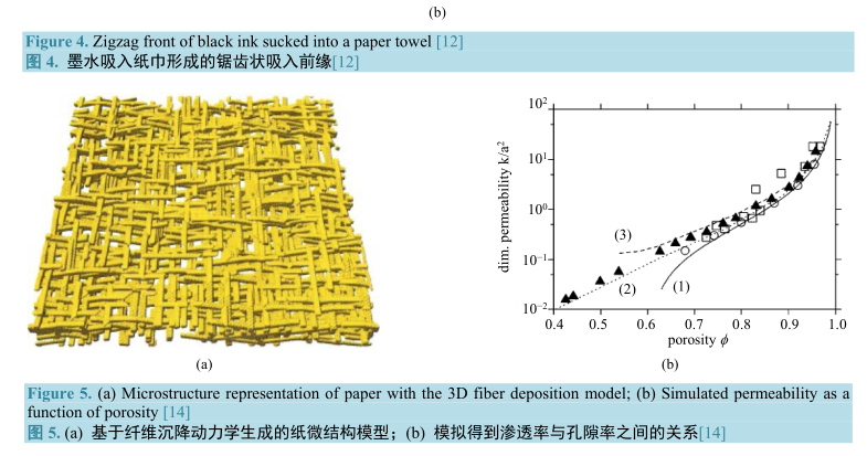 基于纖維沉降動力學(xué)生成的紙微結(jié)構(gòu)模型