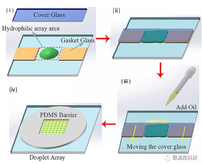 圖1. 油蓋水型液滴陣列制備步驟的示意圖