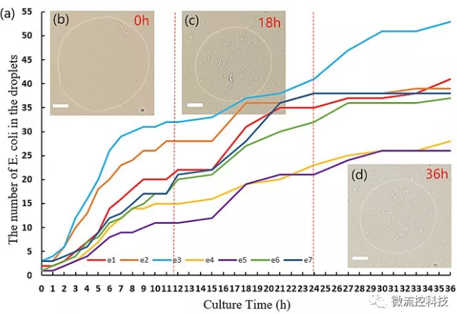 圖2. 液滴中大腸桿菌的數(shù)目隨時(shí)間變化的圖像