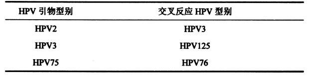 表2皮膚低危型別組內出現(xiàn)交叉反應的HPV型別