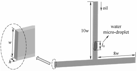 圖1T型交錯結構的幾何模型
