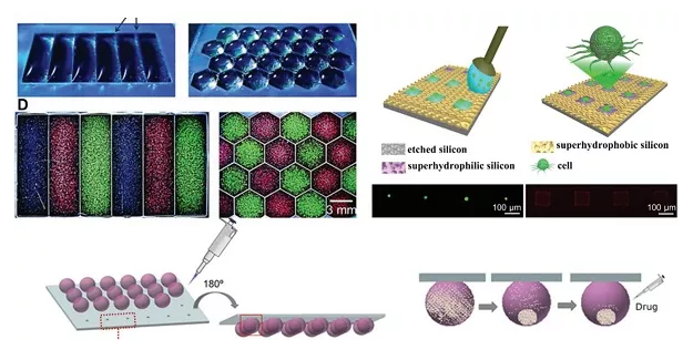 液滴微陣列在細(xì)胞方面的應(yīng)用
