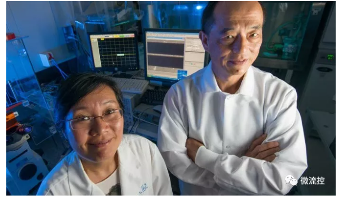 理海大學(xué)（Lehigh University）材料科學(xué)與工程系助教Xuanhong Cheng（圖左），以及電氣工程與計算機系的教授James Hwang（圖右）
