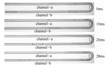 圖11方案1：圓弧誘導產生的彈狀流
