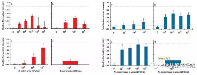 圖2. 大腸桿菌（左）和淋球菌（右）的特異性及靈敏性檢測