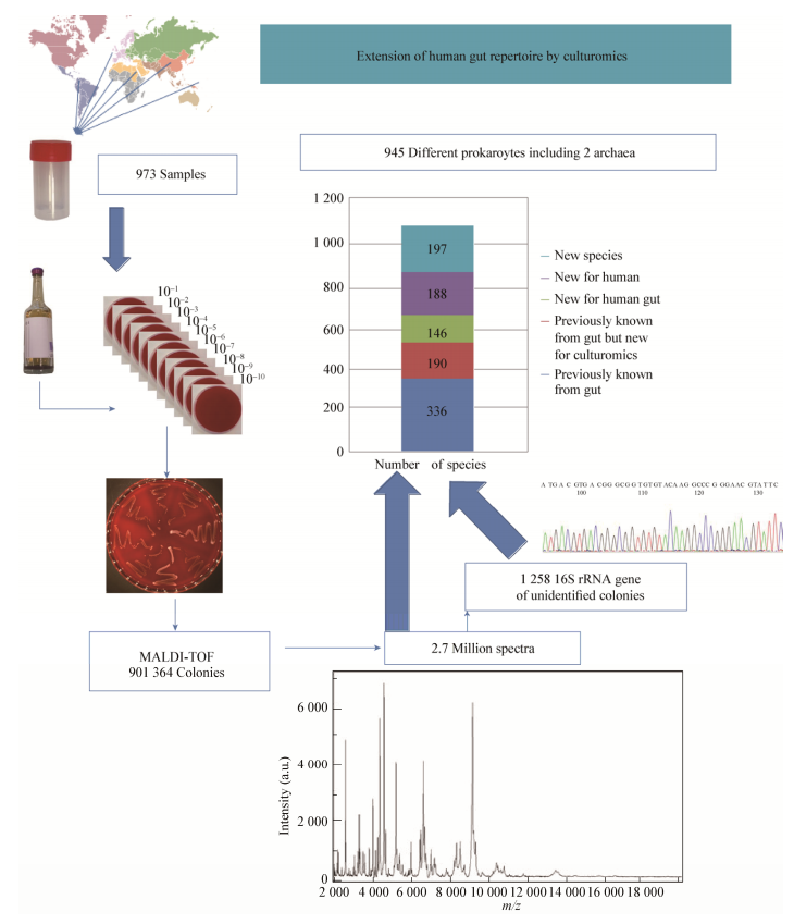 圖6培養(yǎng)組學工作的原理圖