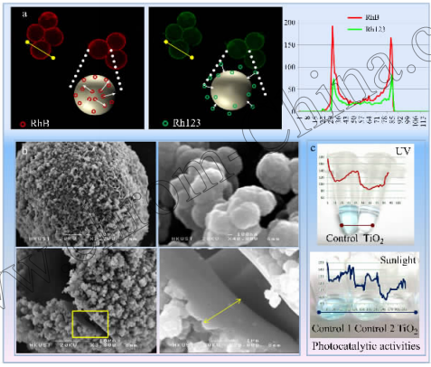 圖!二氧化鈦微球的形態(tài)和功能表征