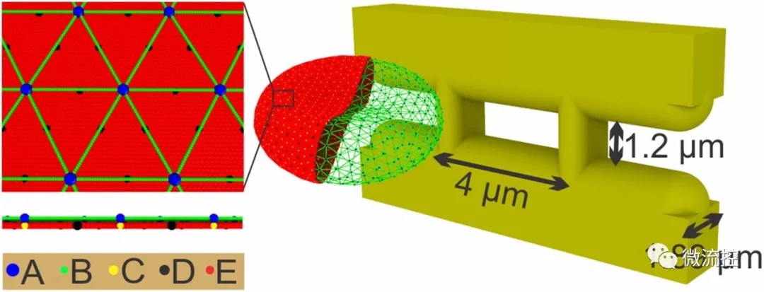 微流體系統(tǒng)幫助預(yù)測血管易堵塞程度