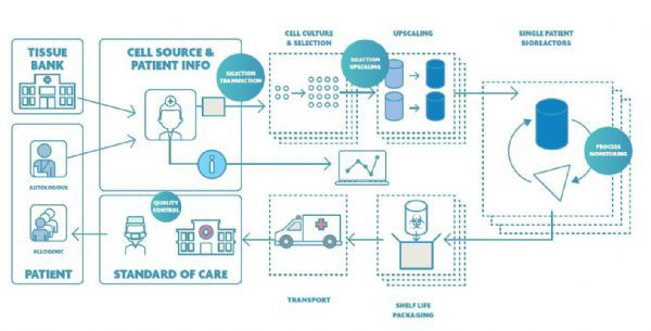 標(biāo)示了納電子學(xué)潛在影響（以藍(lán)色圓圈標(biāo)示）的CAR-T細(xì)胞療法