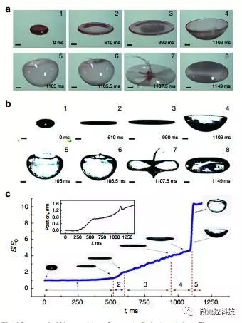 液滴氣泡 液滴氣泡