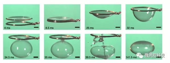 收縮成一個(gè)閉合的氣泡 收縮成一個(gè)閉合的氣泡