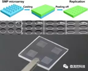 圖2. 采用不同拉伸程度的形狀記憶微柱陣列復(fù)制出來(lái)的系列連續(xù)形變的PDMS微陣列