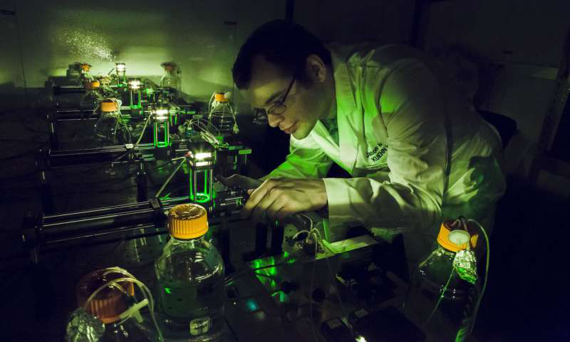 物理學研究生Jason Merritt在伊利諾伊州厄巴納的Loomis物理實驗室Kuehn實驗室研究他的自動化細菌種群取樣裝置。來自伊利諾伊大學厄巴納 - 香檳分校的L. Brian Stauffer