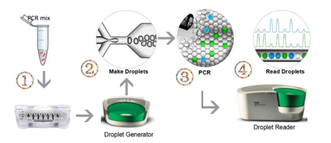 油包水“小房間”