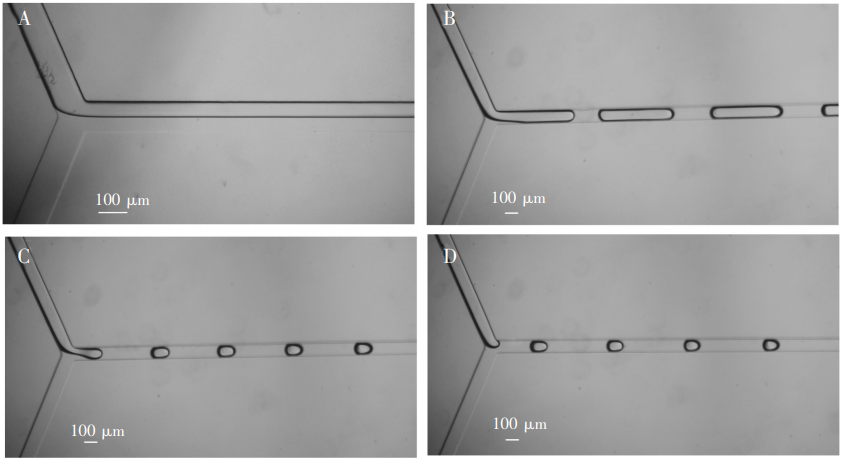 圖3(A)0彎折通道形成兩相流;(B)4彎折通道形成長液柱;(C)8彎折通道，液滴大小接近通道寬度;(D)12彎折通道，液滴大小接近通道寬度，但穩(wěn)定時間較長