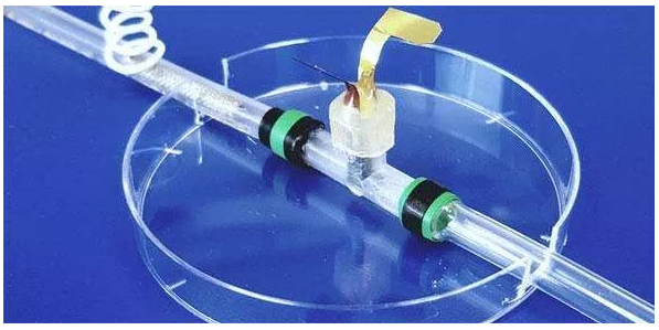 圖片來(lái)源：英國(guó)劍橋大學(xué)官網(wǎng)