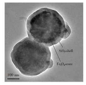 磁珠透射電鏡圖
