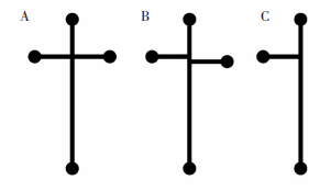 圖63種不同的微芯片通道結(jié)構(gòu):(A)十字交叉結(jié)構(gòu);(B)Double-T交叉結(jié)構(gòu);(C)T型結(jié)構(gòu)