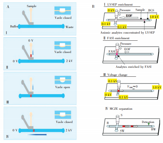 圖7兩種預(yù)濃縮方法。(A)采用氣動(dòng)閥結(jié)構(gòu)[63]和(B)采用LVSEP及FASI對(duì)樣品進(jìn)行濃