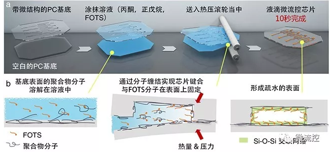 圖1 一步法工作流程圖及其分子機(jī)理