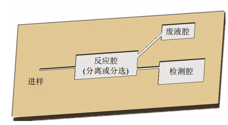 圖1微流控芯片結(jié)構(gòu)示意圖