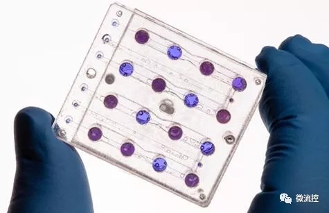 小衛(wèi)星“BioSentinel”攜帶微流控進入深太空，開展空間輻射研究