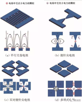 圖5 不同電極結(jié)構(gòu)產(chǎn)生的非均勻電場中受正介電力和負(fù)介電力的粒子捕獲示意