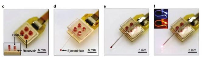 “無(wú)線光流控腦探頭”組裝圖像 “無(wú)線光流控腦探頭”組裝圖像
