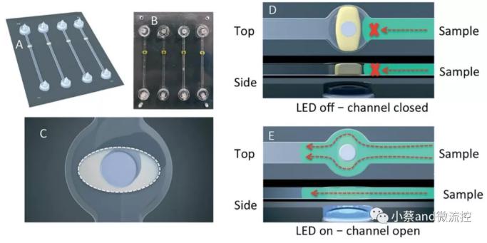 圖1.&nbsp;LED燈控制下光敏水凝膠閥的開啟和閉合