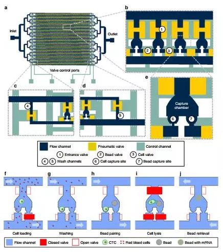 抓得著+單細胞分析：Hydro-Seq