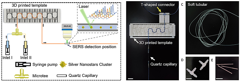 基于軟管微流控的動(dòng)態(tài)流體SERS平臺(tái)用于無標(biāo)記細(xì)胞檢測(cè)