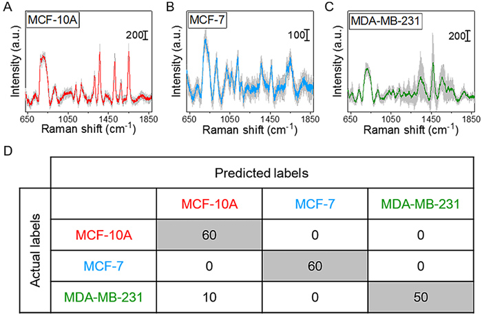 基于軟管微流控的動(dòng)態(tài)流體SERS平臺(tái)用于無標(biāo)記細(xì)胞檢測(cè)