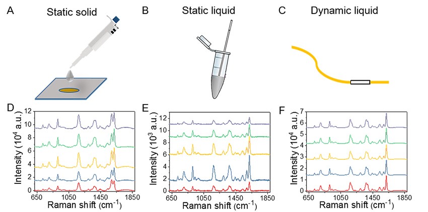 基于軟管微流控的動(dòng)態(tài)流體SERS平臺(tái)用于無標(biāo)記細(xì)胞檢測(cè)