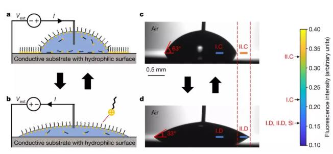 含有離子型表面活性劑的水滴在硅基片上收縮和鋪展，其接觸角隨直流電壓改變。&nbsp;