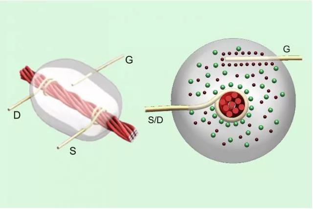 線基晶體管：碳納米管涂覆的亞麻線在源極（S）和漏極（D）金屬線之間攜帶電流，以響應(yīng)柵極（G）檢測(cè)到的電壓。