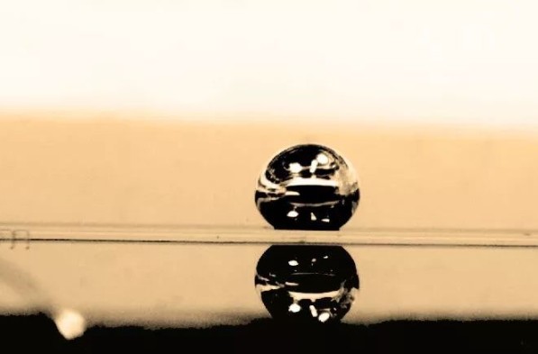 簡化血細胞研究的微型離心機式微流控裝置，解鎖器官芯片新可能